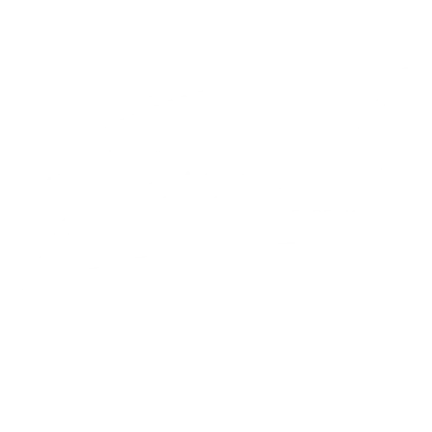 Flexxido